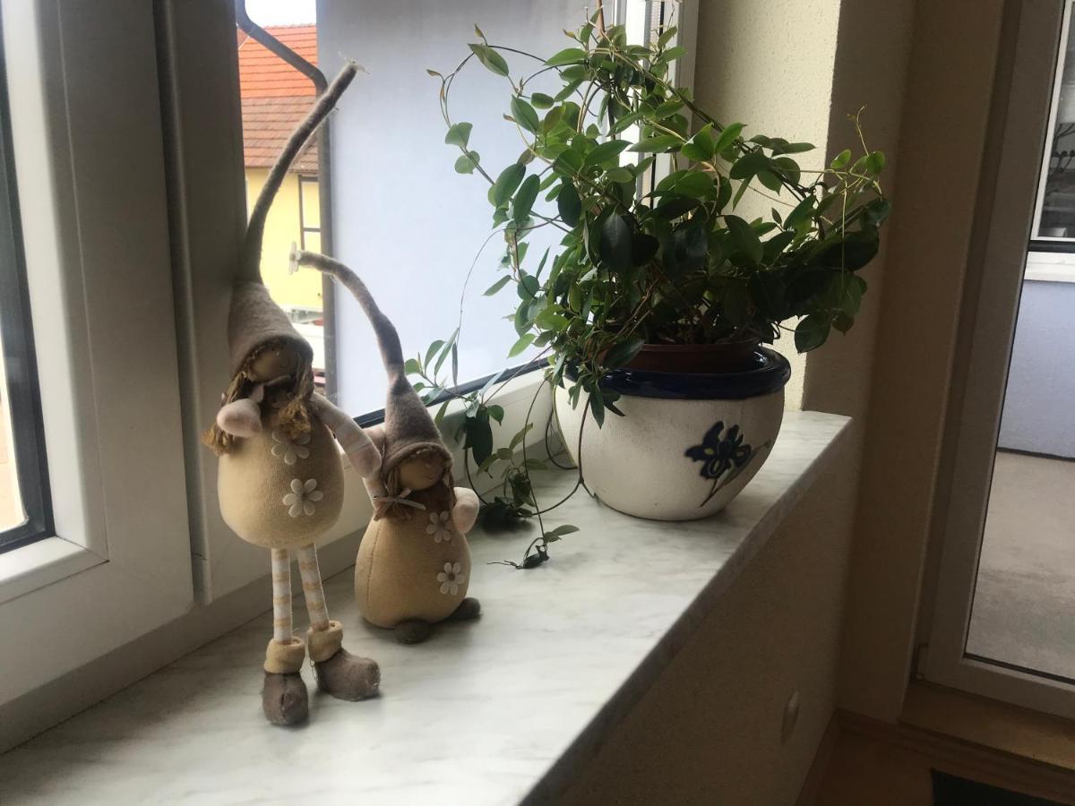 Ferienwohnung Am Gruenen Band Hellingen Dış mekan fotoğraf