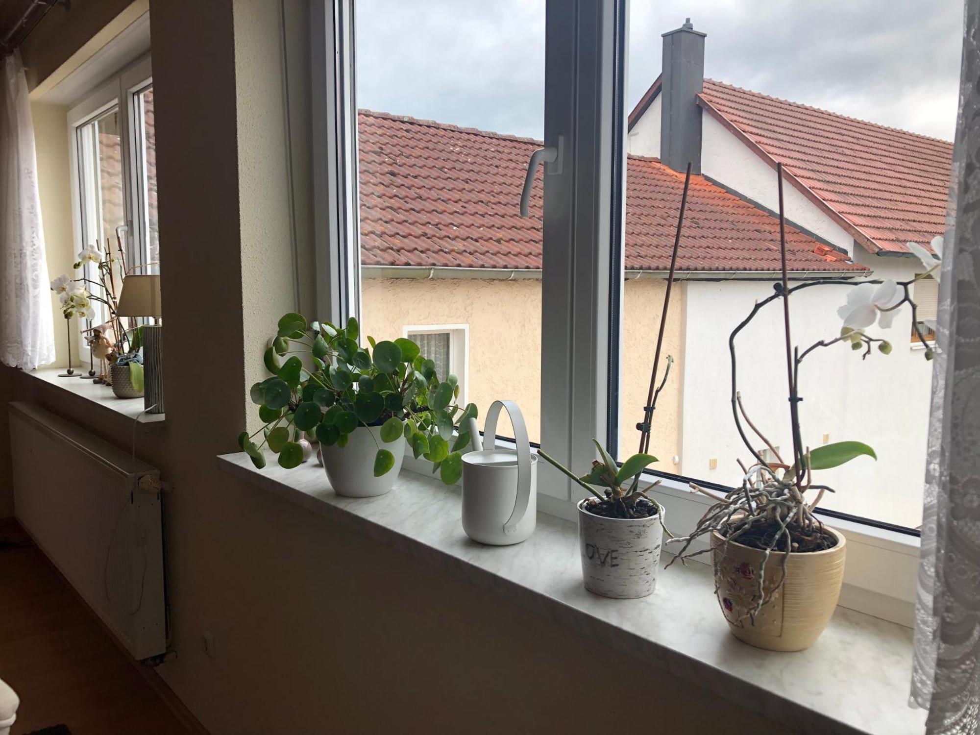 Ferienwohnung Am Gruenen Band Hellingen Dış mekan fotoğraf